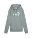 Womens/ladies No.1 Logo Fleece Overhead Hoodie Green Puma-2