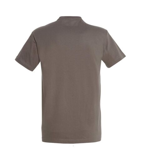 SOLS Mens Imperial Heavyweight Short Sleeve T-Shirt (Apple Green) - UTPC290