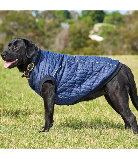 Weatherbeeta Puffer Dog Coat (25cm) (Navy) - UTWB744