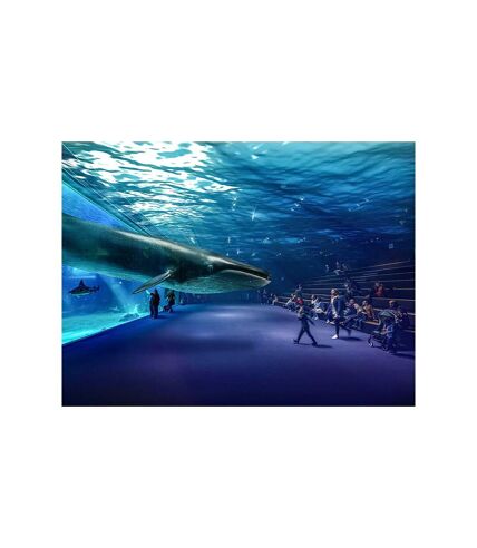 Nausicaá : entrée pour 1 adulte et 1 enfant à l'aquarium de Boulogne-sur-Mer en basse saison - SMARTBOX - Coffret Cadeau Sport & Aventure