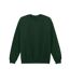 Unisex Adult Softstyle Fleece Midweight Pullover Ash Grey Gildan-3