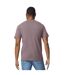 Gildan Unisex Adult Softstyle Midweight T-Shirt (Mustard)