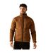 Veste Polaire Branleigh Homme Marron Regatta-1