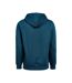 Unisex Adult Regular Hoodie Orion Untagged Movement-2