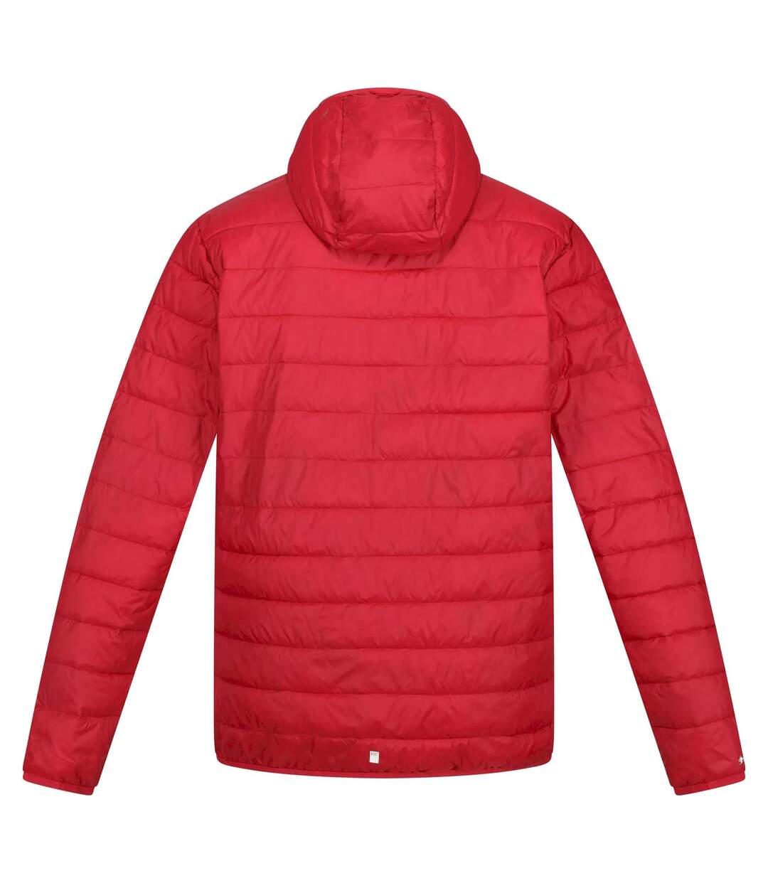 Veste hillpack homme rouge foncé Regatta Regatta