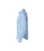 Clique Womens/Ladies Clare Formal Shirt (Light Blue) - UTUB356