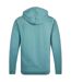 Sweat À Capuche Bryant Homme Bleu Pâle Weird Fish-2