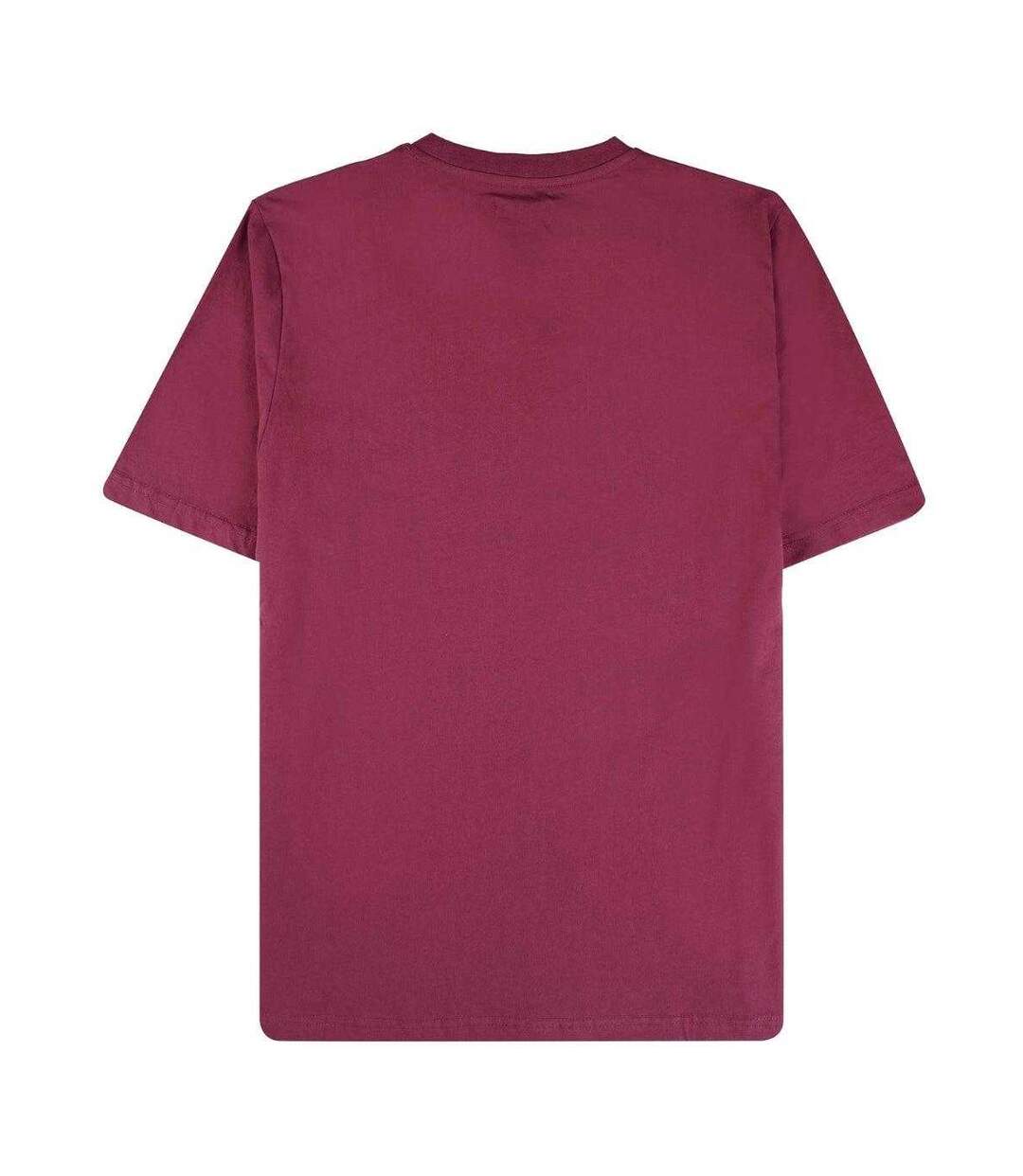 T-shirt Motif Gros Logo Active Homme Bordeaux Aquascutum-2