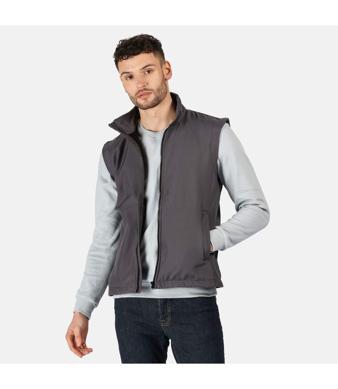 Regatta Mens Ablaze Gilet (Seal Grey/Black) - UTRG5205