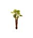 Plante Artificielle Palmier 190cm Vert