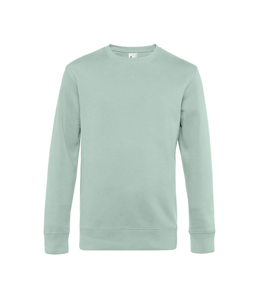 B&C Sweatshirt King pour hommes (Menthe) - UTRW7909