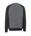 Anthracite Noir Mascot-2