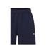 Mens Fleece Shorts Blue Everlast-3