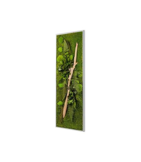 Tableau végétal stabilisé nature Pano 25 x 115 cm
