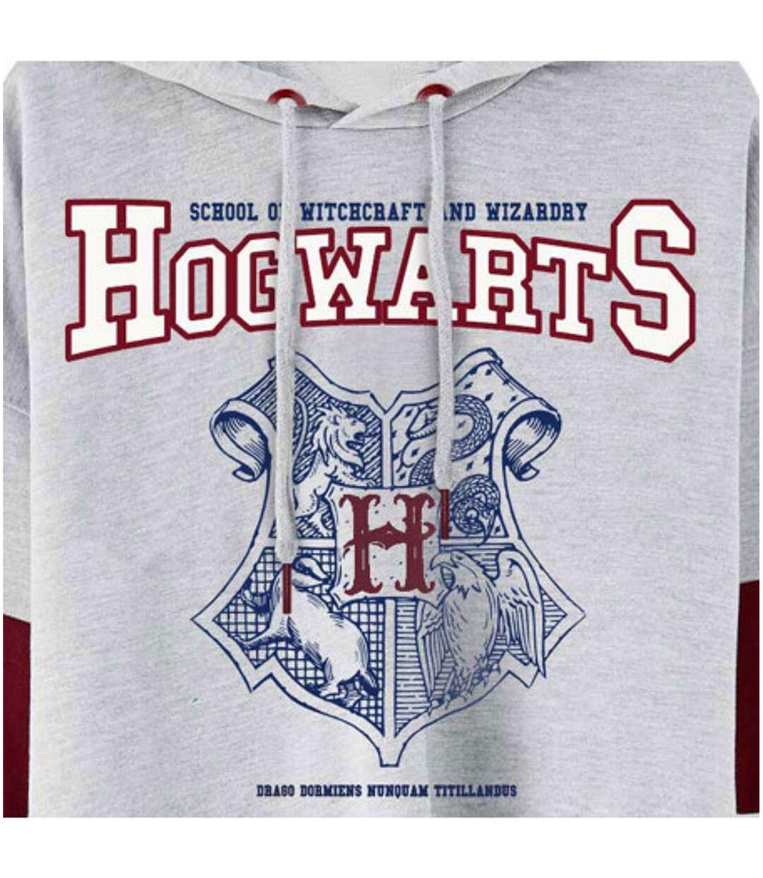 Sweat À Capuche Motif/style Emblème De Poudlard Femme Gris Harry Potter-3