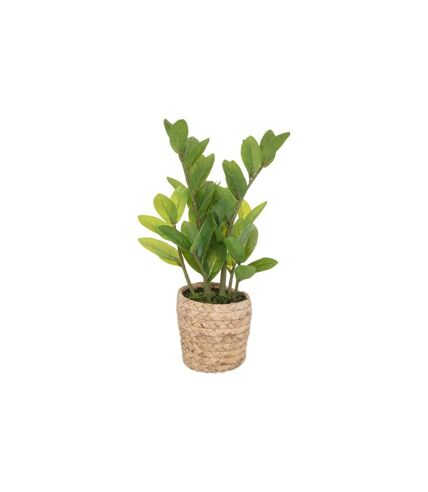 Plante Artificielle en Pot Zamio 41cm Beige & Vert