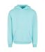 Sweat À Capuche Homme Béryl Bleu Build Your Brand-2