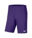 Short Dry Park Homme Violet Clair Nike-1