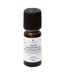 Huile Essentielle Lina 10ml Lavande Aspic-1