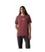 Mens Classic Graphic T-shirt Red Levis-1