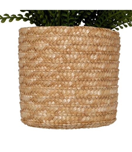 Fougère Artificielle en Pot Clemy 30cm Vert