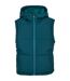 Womens/ladies Quilted Twill Recycled Gilet Jasper Urban Classics-1