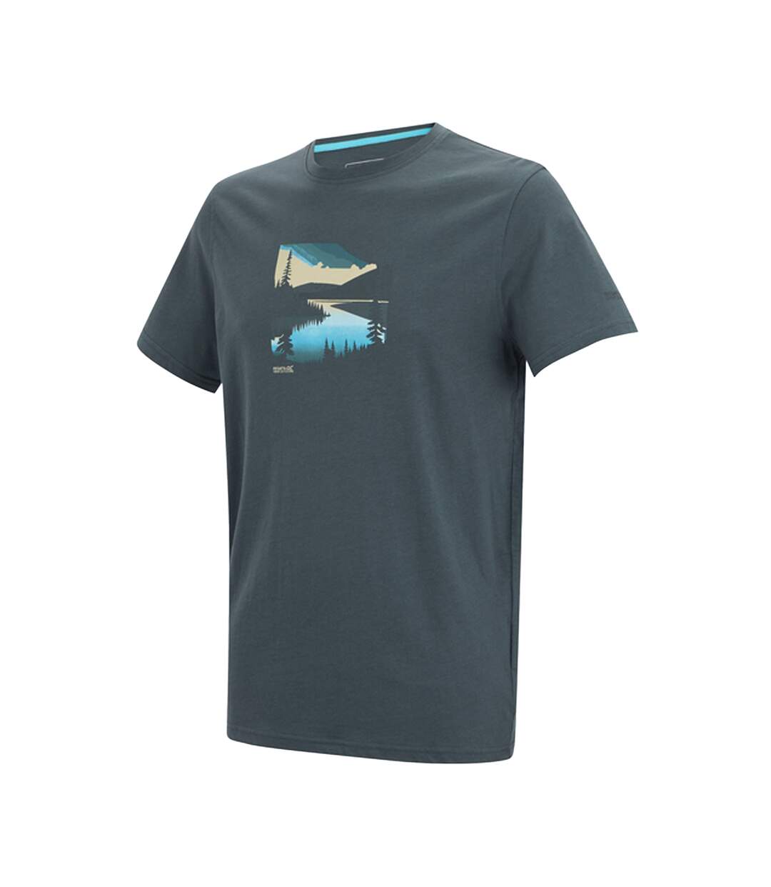 T-shirt Motif/style Graphique Breezed Homme Orage Foncé Regatta-4
