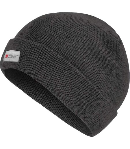 Bonnet Homme Gris Phoque Regatta Professional
