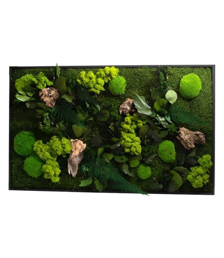Tableau végétal stabilisé canopé Rectangle 100 x 60 cm