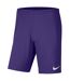 Short Dry Park Homme Violet Nike-1