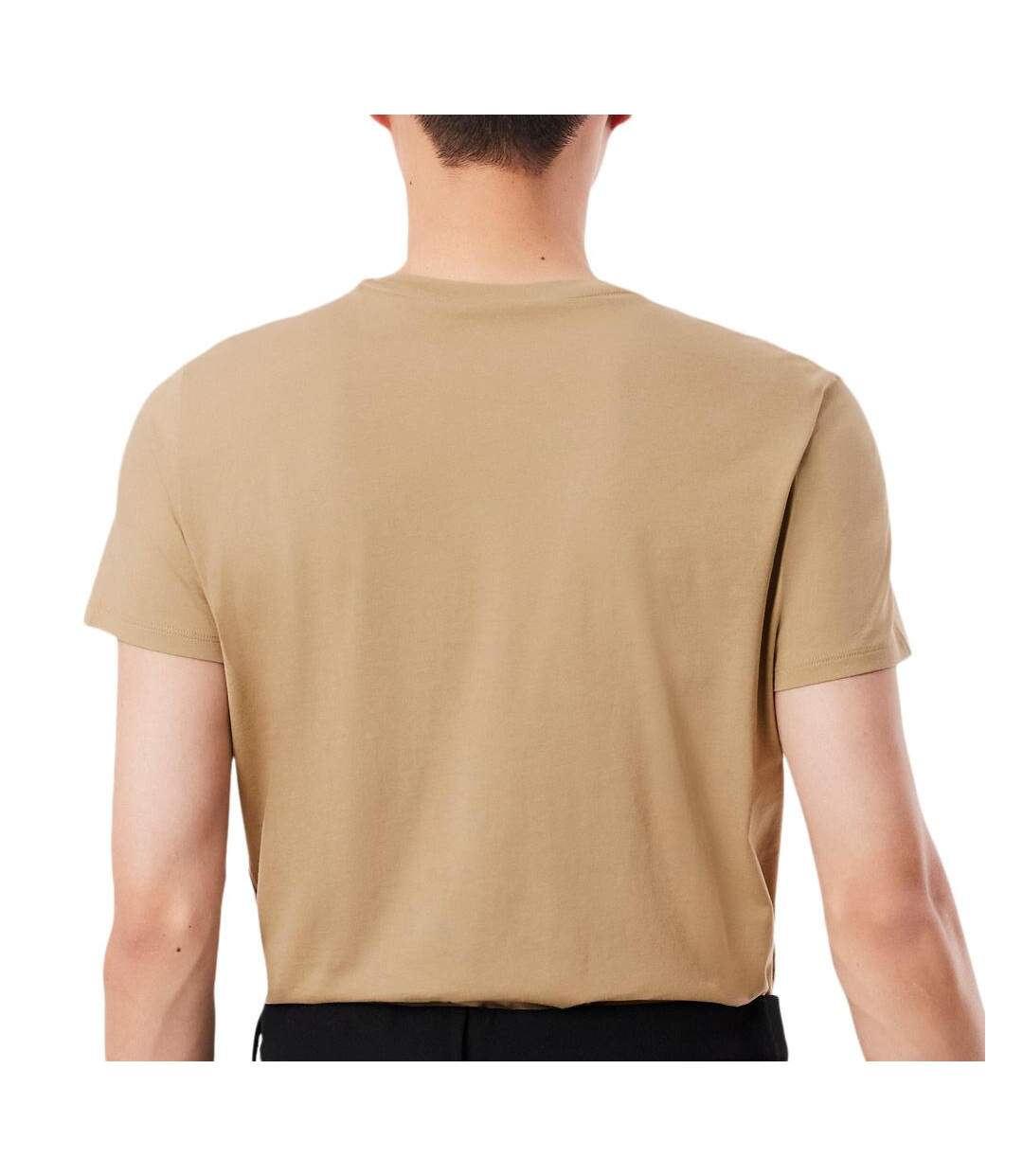 T-Shirt beige homme lacoste pima - l-2