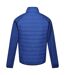 Veste hybride clumber homme bleu roi / orange kaki Regatta