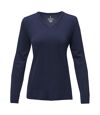 Elevate Womens/Ladies Stanton Pullover (Navy)