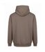 Sweat À Capuche Vision Homme Beige Argile Awdis-2