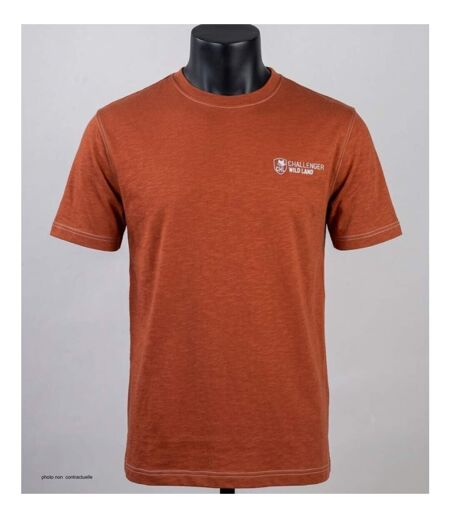 Tee - shirt SANCHO3