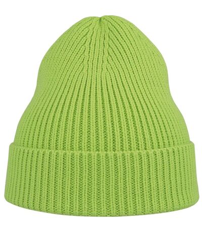 Atlantis Unisex Adult Andy Recycled Polyester Beanie (Acid Green) - UTAB559