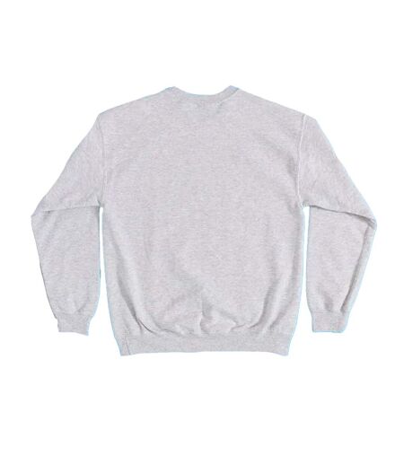 Sweat Motif Snoopy It´s Flashbeagle Adulte Gris Peanuts