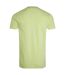 Mens fished branded t-shirt acid lime Weird Fish-2