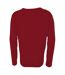 Premier Mens V-Neck Knitted Sweater (Burgundy) - UTRW1131