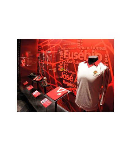 Benfica Lisbonne en famille : visite du stade de Luz et du musée avec écharpe pour 4 - SMARTBOX - Coffret Cadeau Sport & Aventure