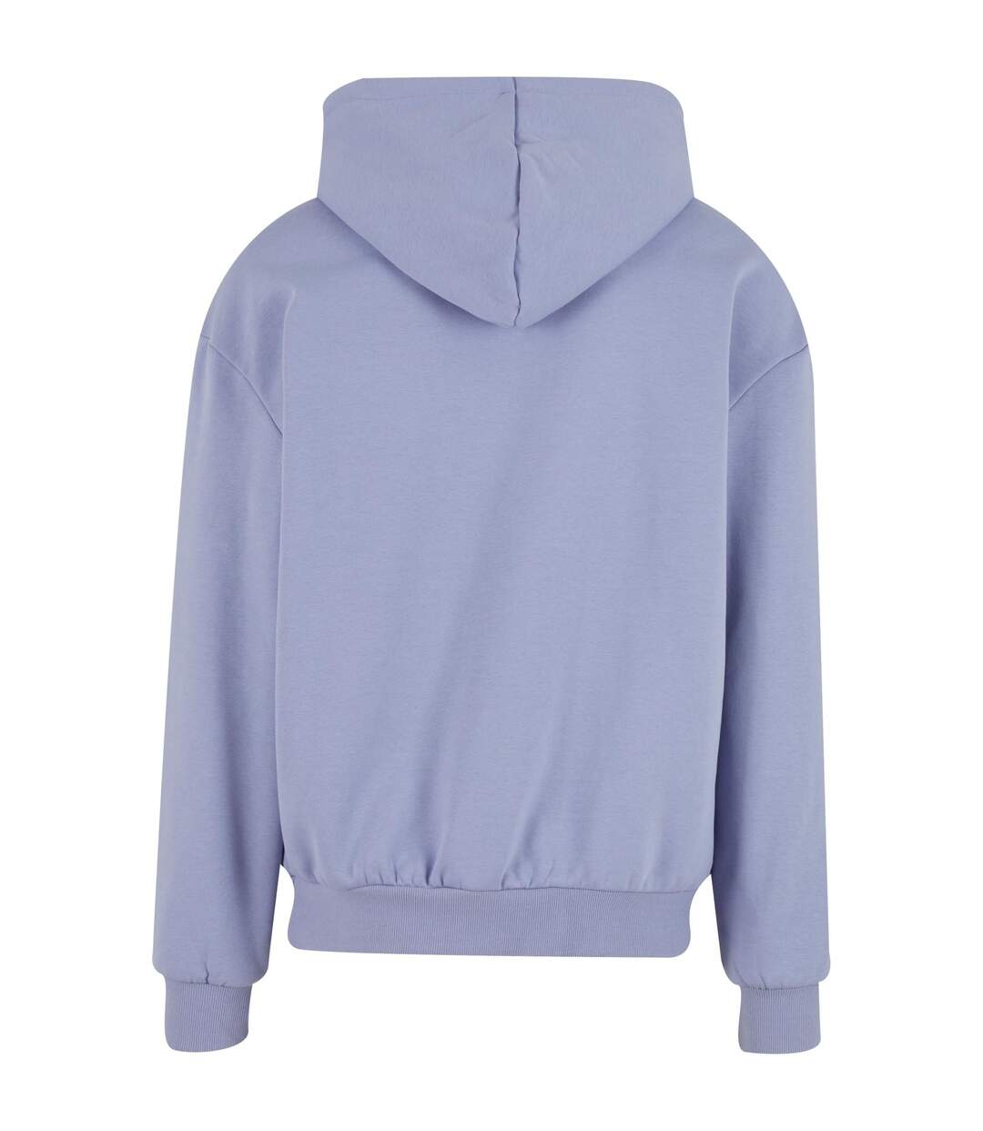 Sweat À Capuche Adulte Bleuet Givré Build Your Brand-2