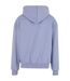 Sweat À Capuche Adulte Bleuet Givré Build Your Brand-2