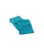 Lot de 2 Gants de Toilette Tendresse 15x21cm Bleu Paon