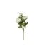 Fleur Artificielle Renoncule 60cm Blanc-1