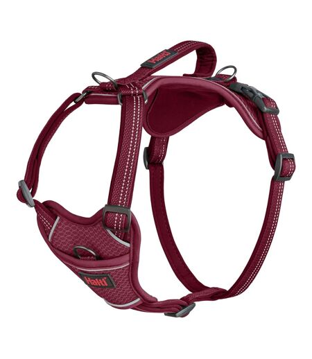 Anatomy dog harness xl magenta Halti