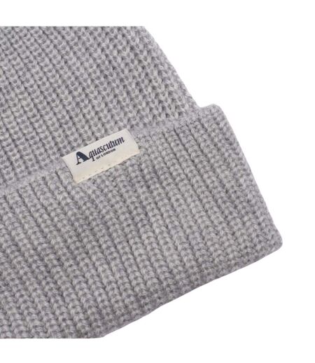 Bonnet Extérieur Motif/style Logo Active Adulte Gris Clair Chiné Aquascutum