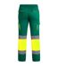 Pantalon Enix Homme Vert Roly Workwear-2