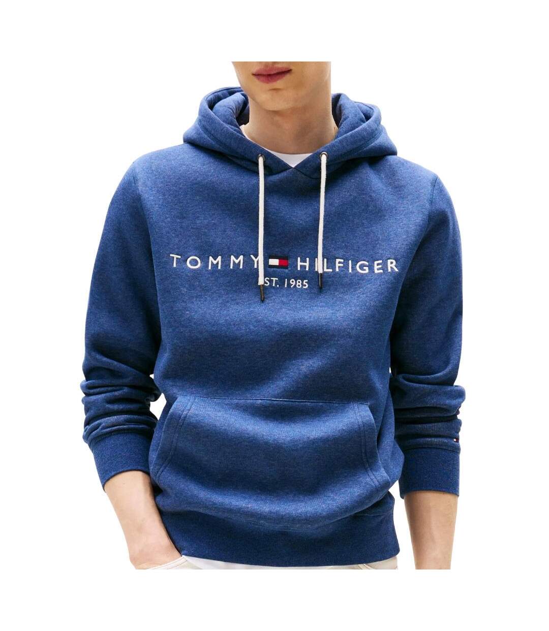 Sweat à capuche marine homme tommy hilfiger logo hoodies-1