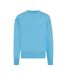 Unisex adult kruger recycled cotton crew neck relaxed fit sweatshirt tranquil blue Iqoniq-1