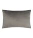 Paoletti - Housse de coussin LEXINGTON (Gris / Noir) (40cm x 60cm) - UTRV3036